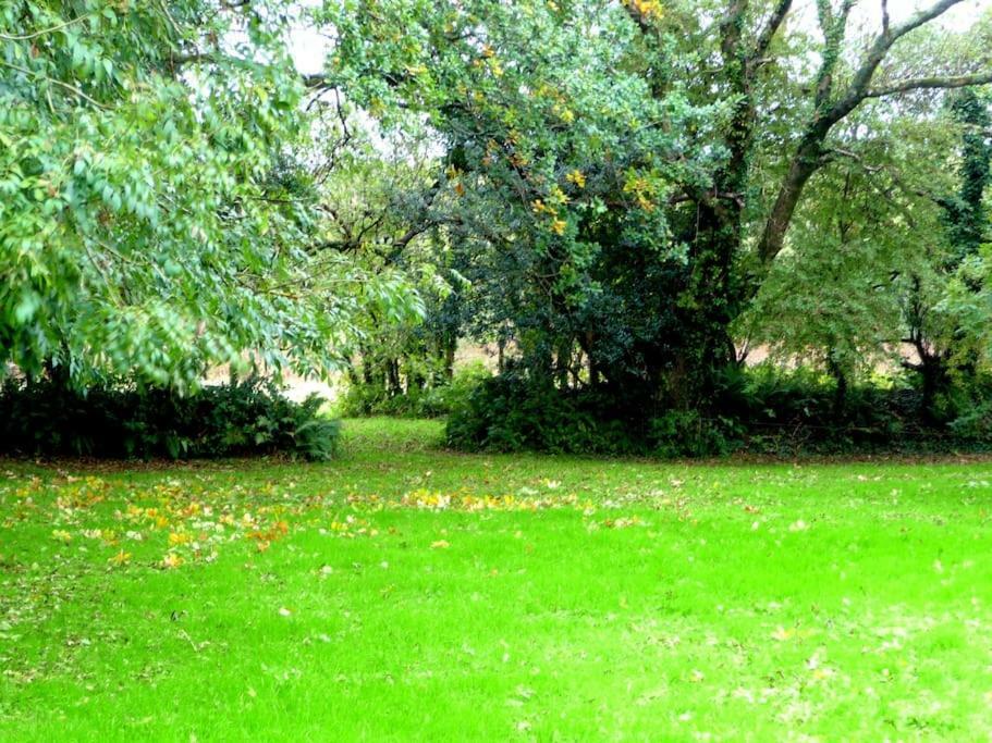 Croft Flat Διαμέρισμα Kilgetty Εξωτερικό φωτογραφία
